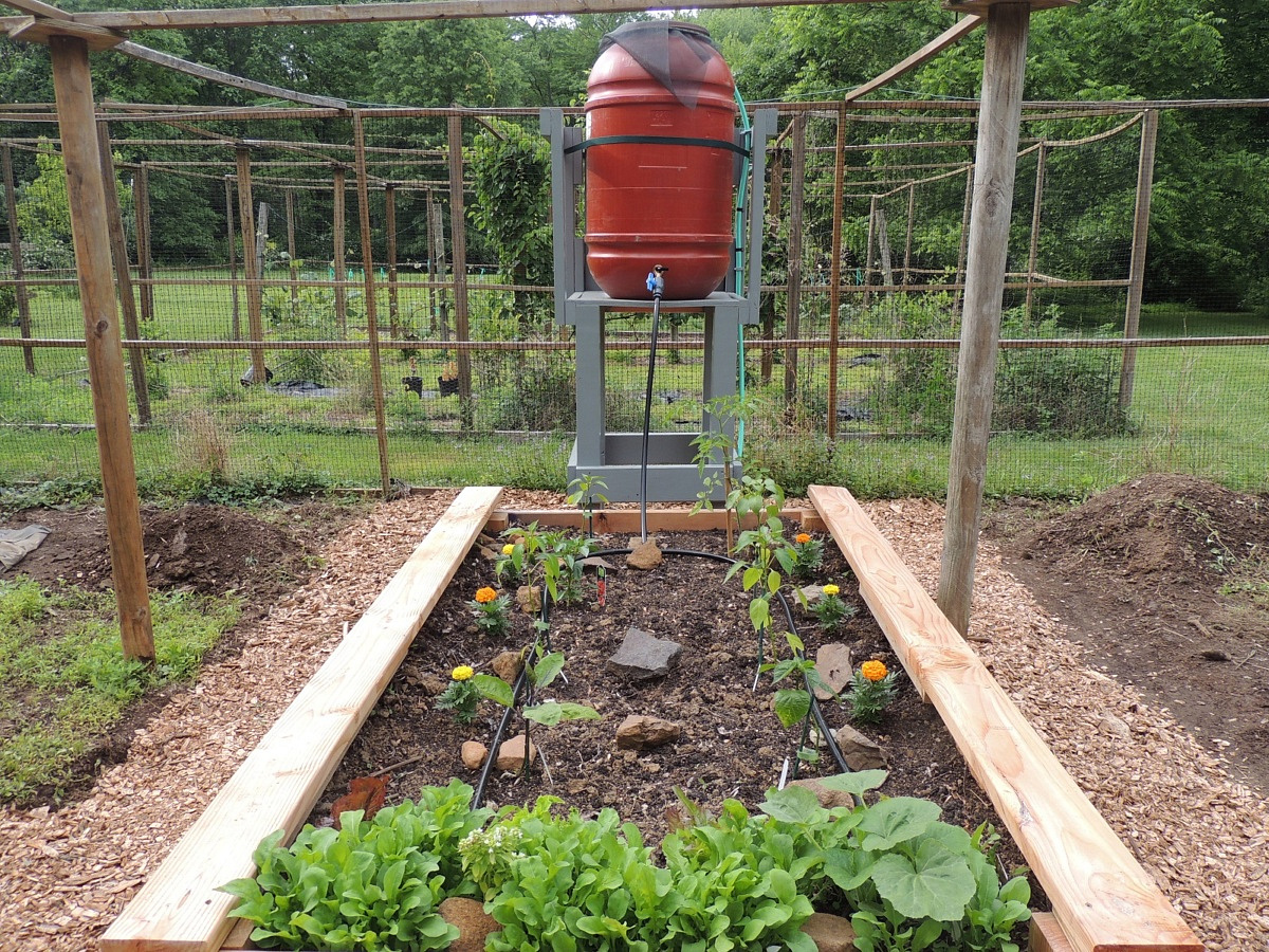 Advantages Of A Raised Bed Garden Podcast 354 — Joey Bee Outdoors